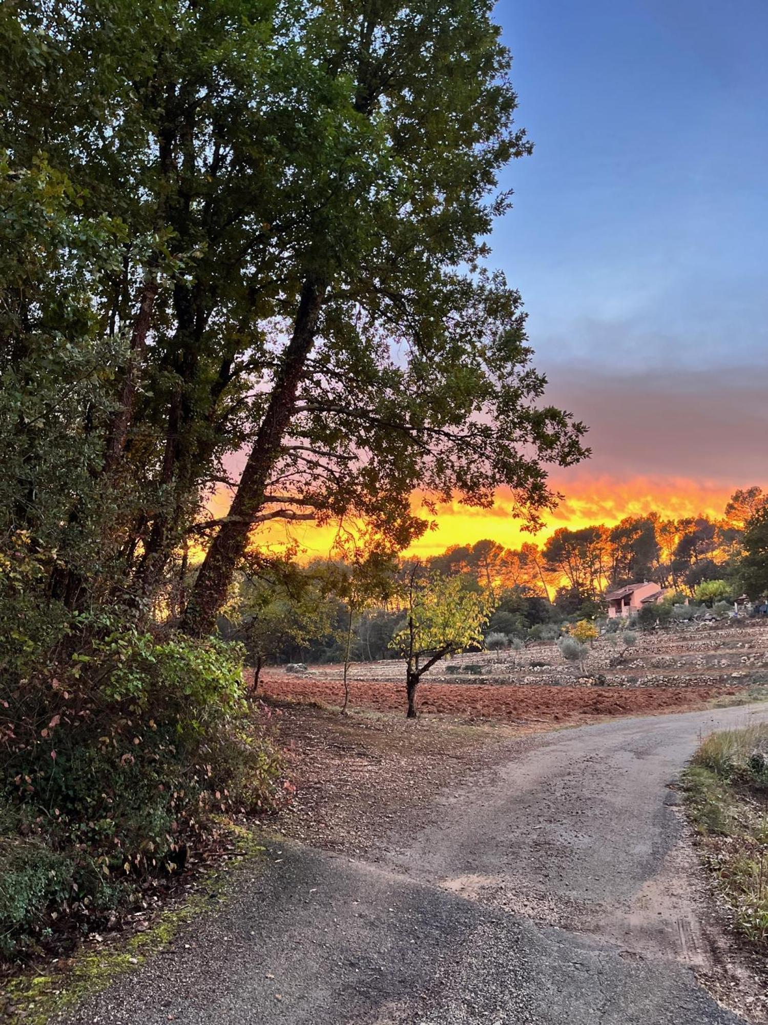 La Parenthese Du Var - Chambre D'Hotes Petits Dejeuners Inclus Et Terrasse Ombragee Saint-Antonin-du-Var Esterno foto