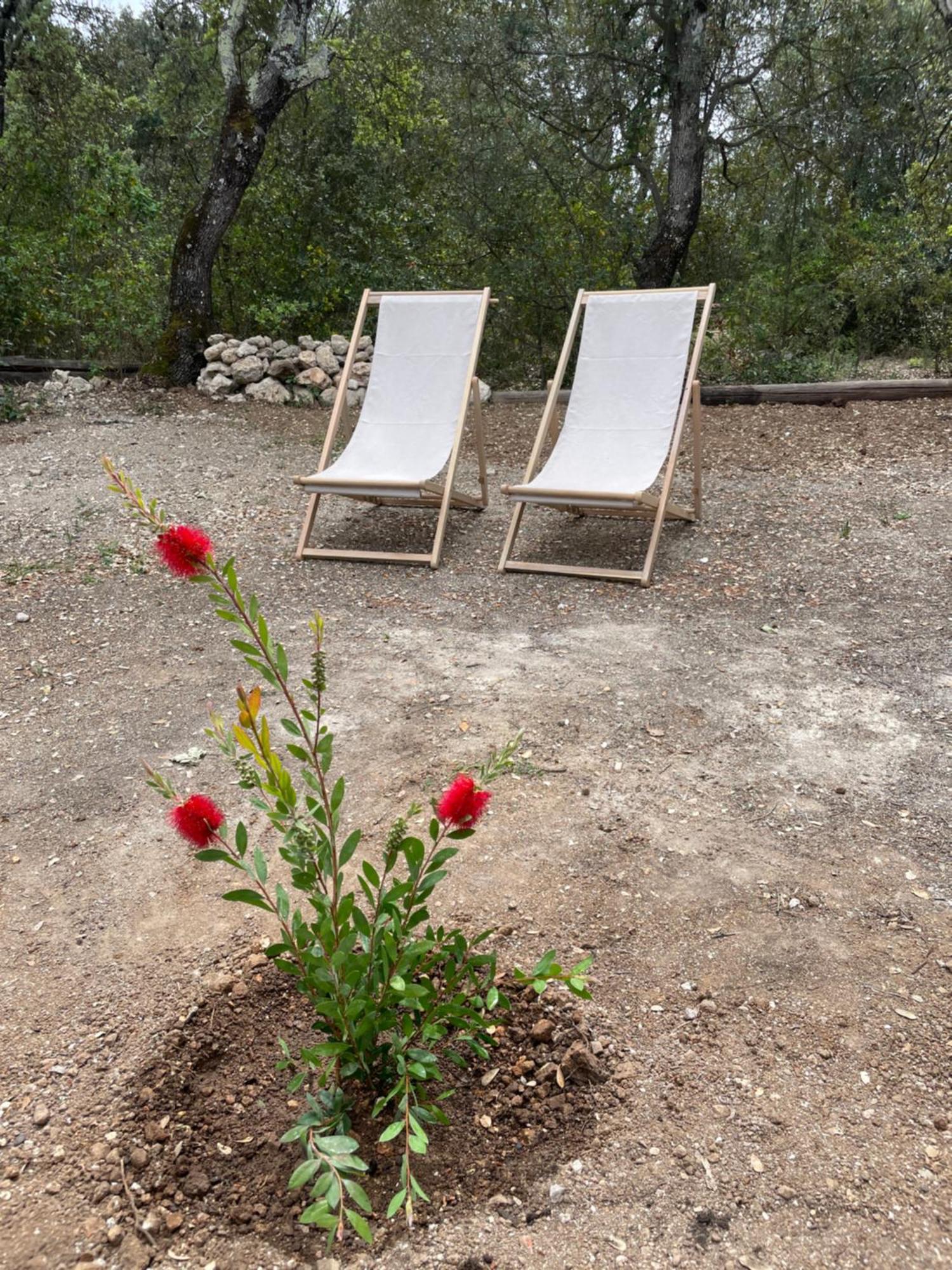 La Parenthese Du Var - Chambre D'Hotes Petits Dejeuners Inclus Et Terrasse Ombragee Saint-Antonin-du-Var Esterno foto